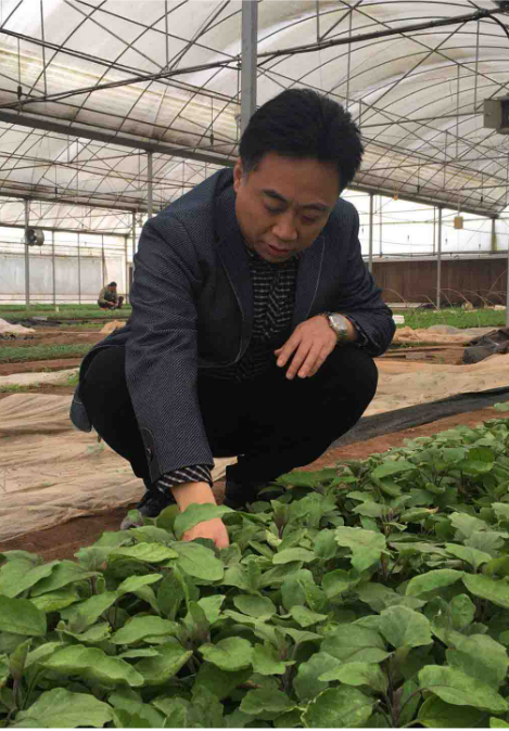 周汝平