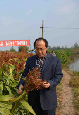 许明陆