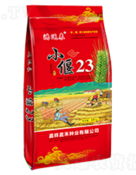 小偃23